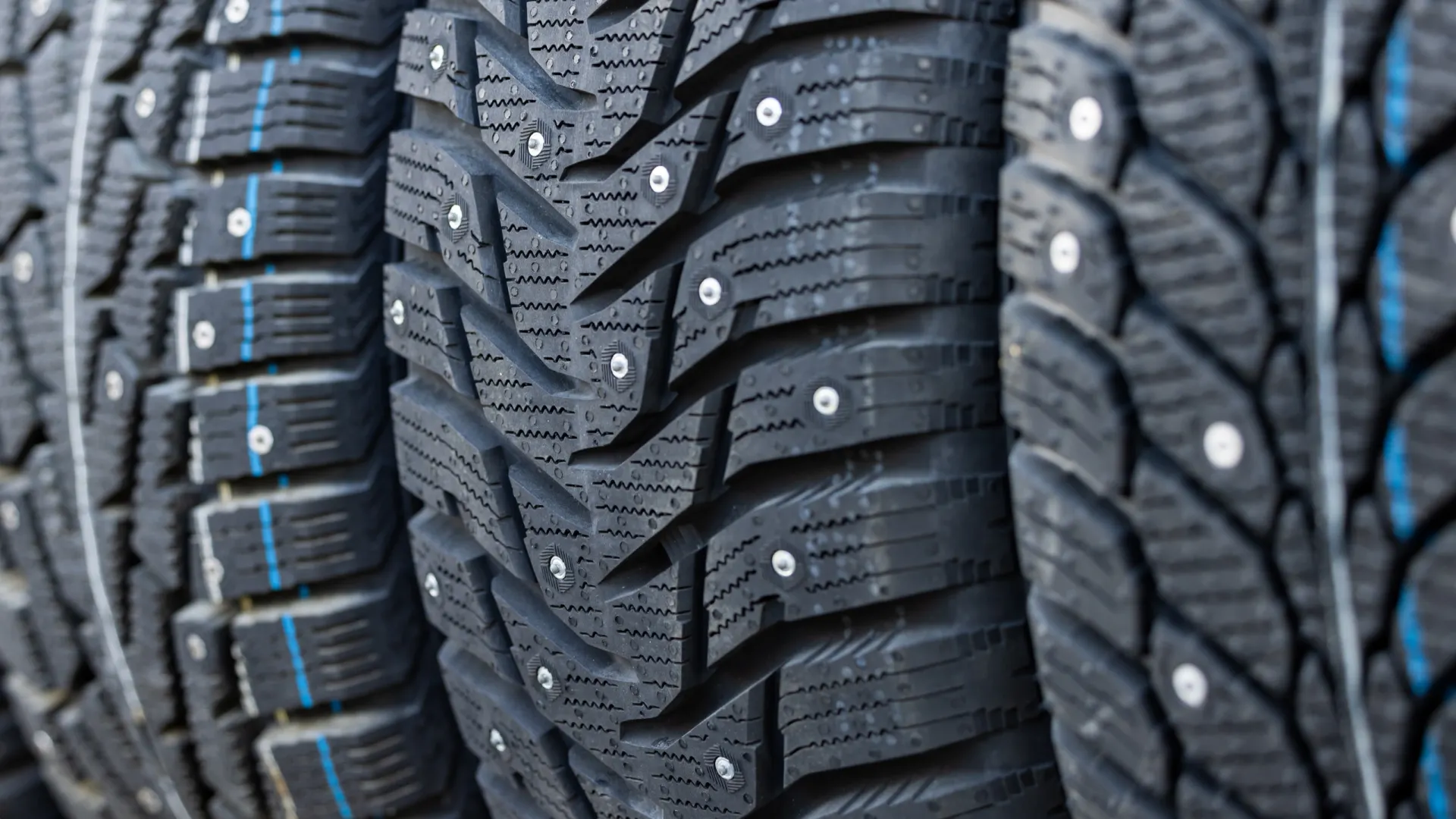 Фото: Федор Воронов / «Ямал-Медиа»