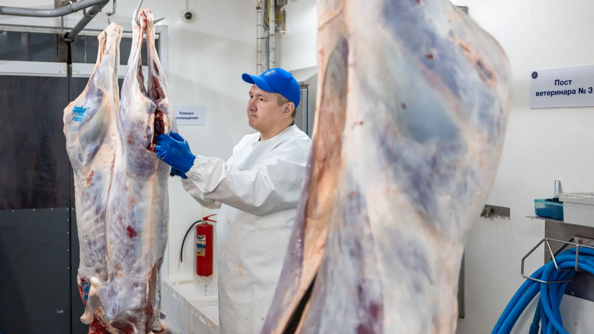 Фото: Сергей Зубков / «Ямал-Медиа»