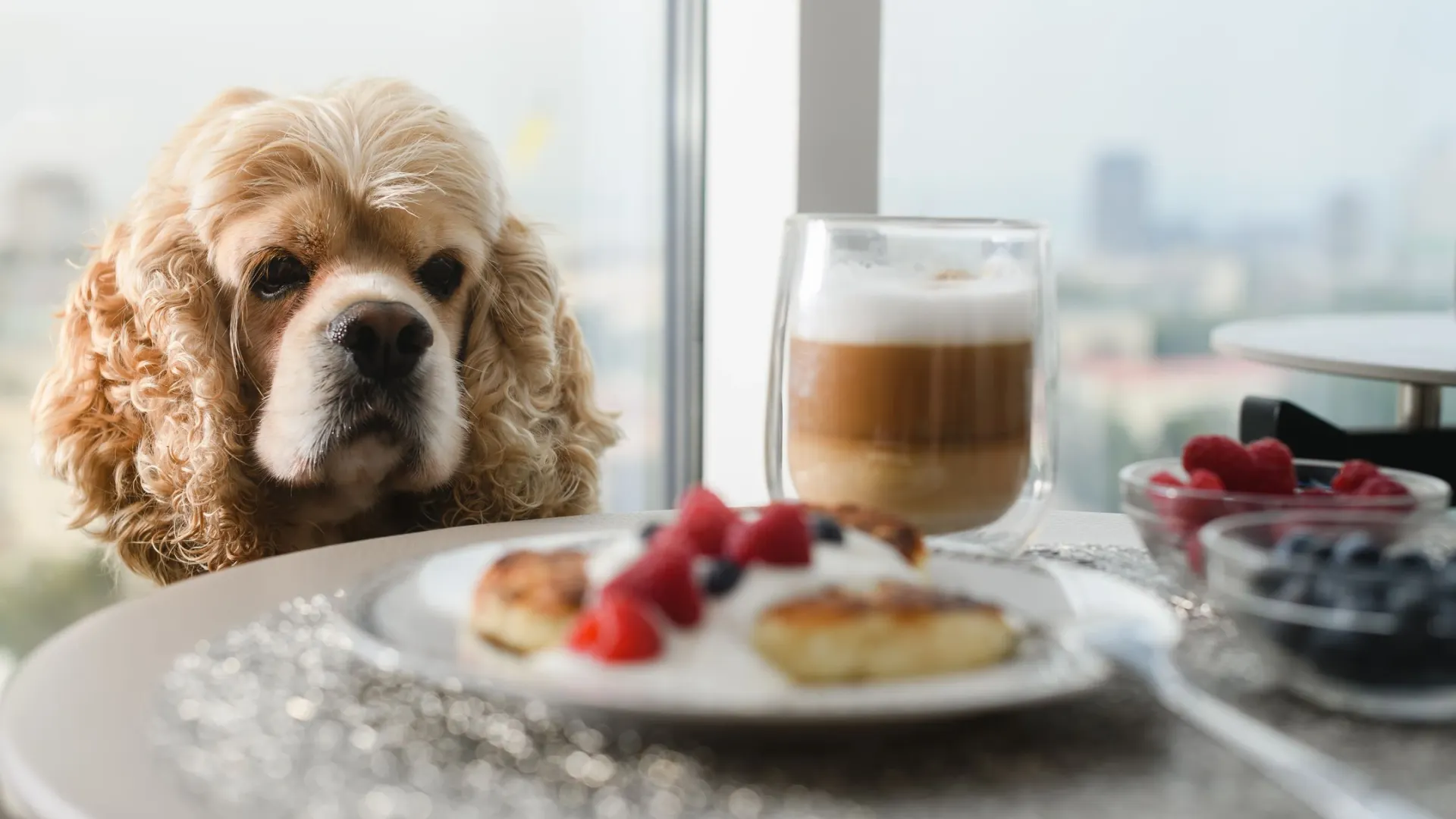 Фото: O_Lypa/Shutterstock/Fotodom