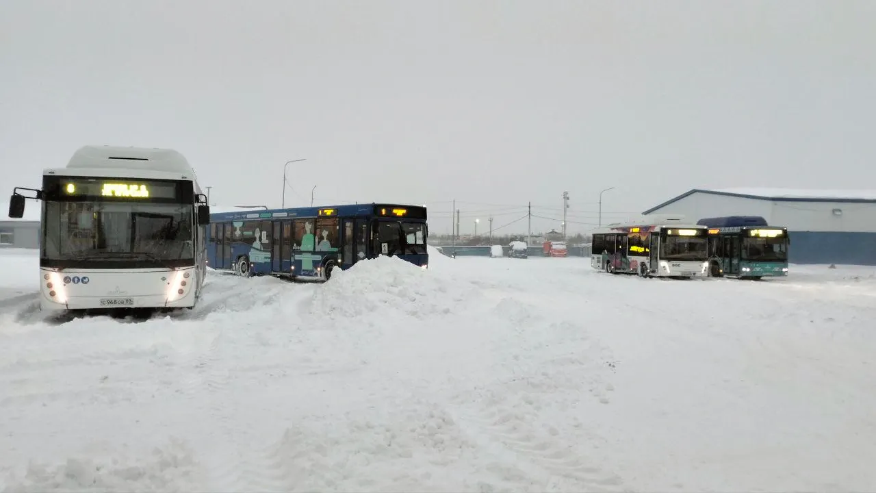 Фото: Владимир Ганчерко / «Ямал-Медиа»