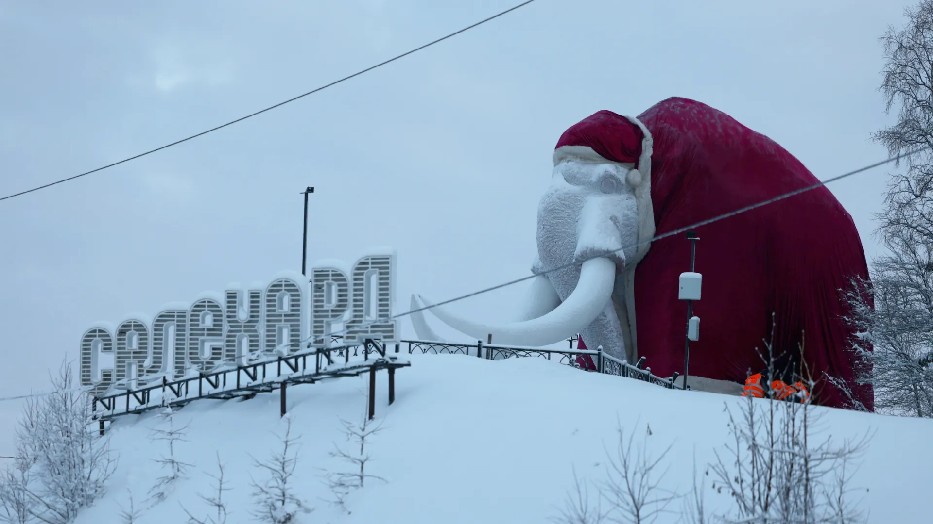Фото: Сергей Зубков / «Ямал-Медиа»