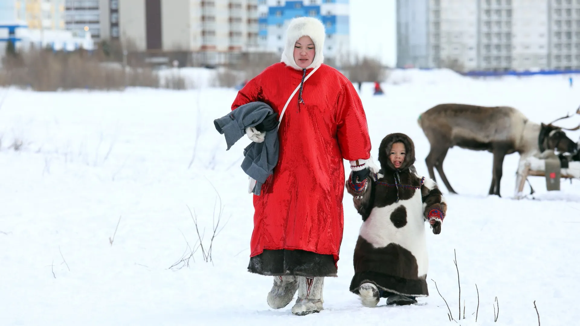 Фото: Grigorii Pisotsckii/Shutterstock/Fotodom