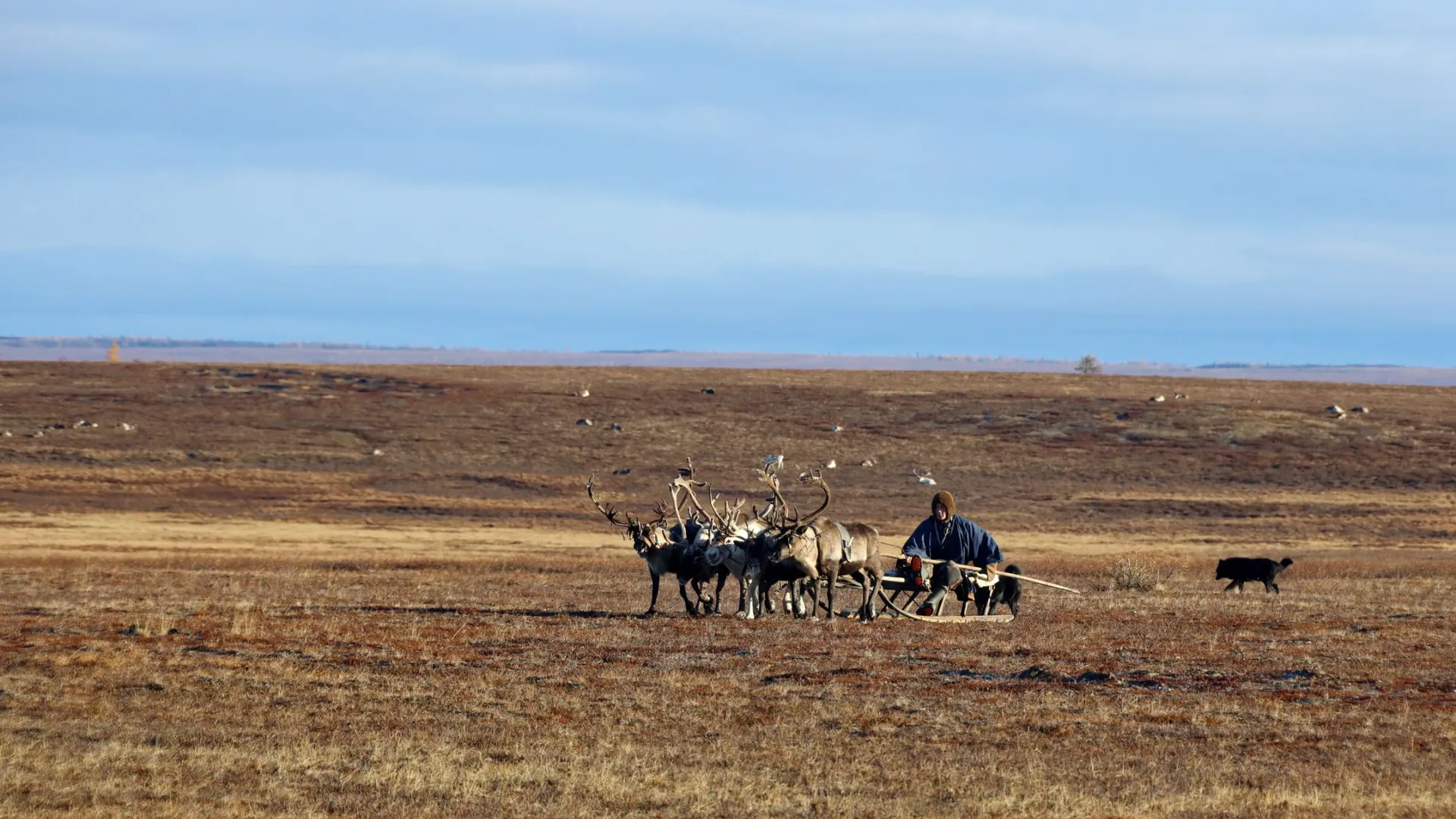 Фото: Василий Петров / «Ямал-Медиа»