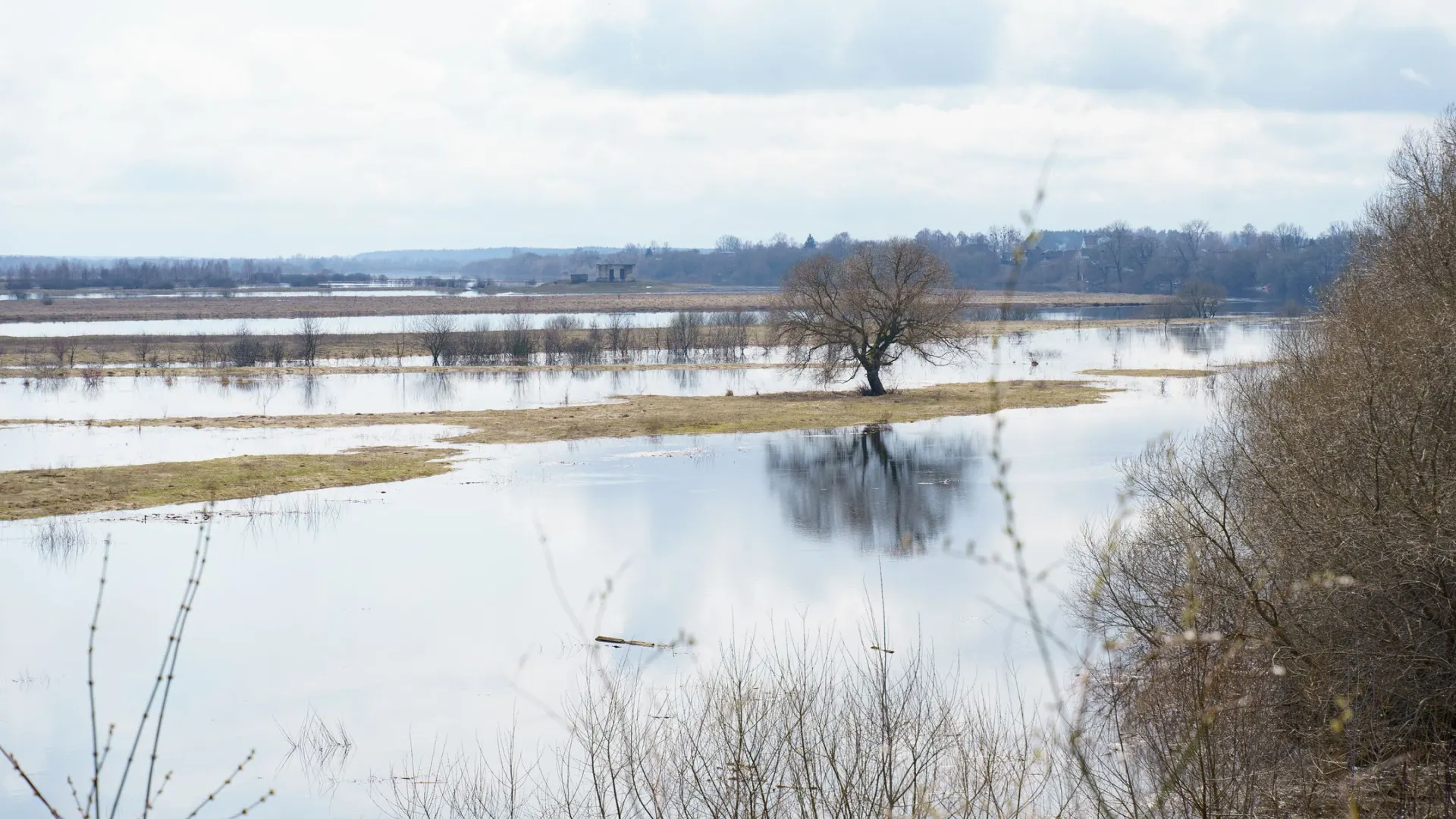 Фото: SkazovD/Shutterstock/Fotodom