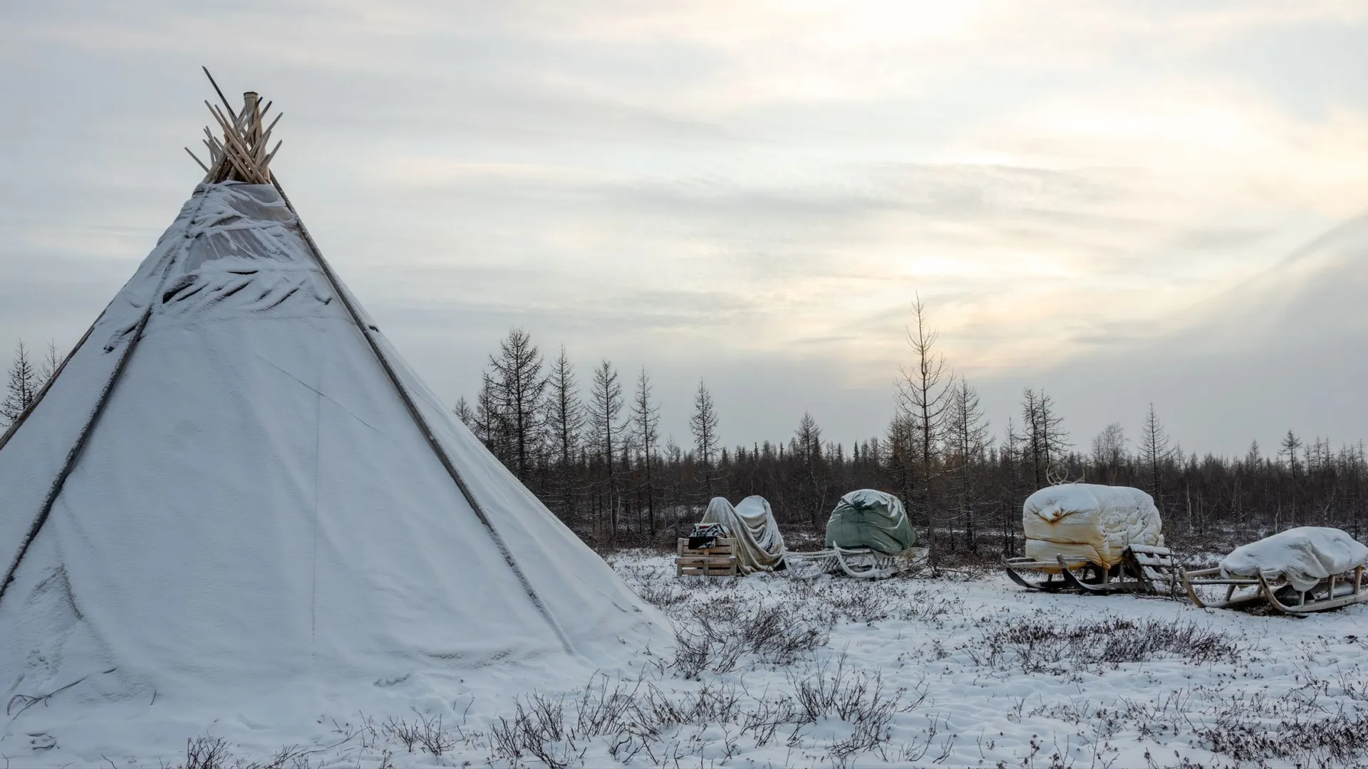 Практику реестра впервые применили на Ямале. Фото: Федор Воронов / «Ямал-Медиа»