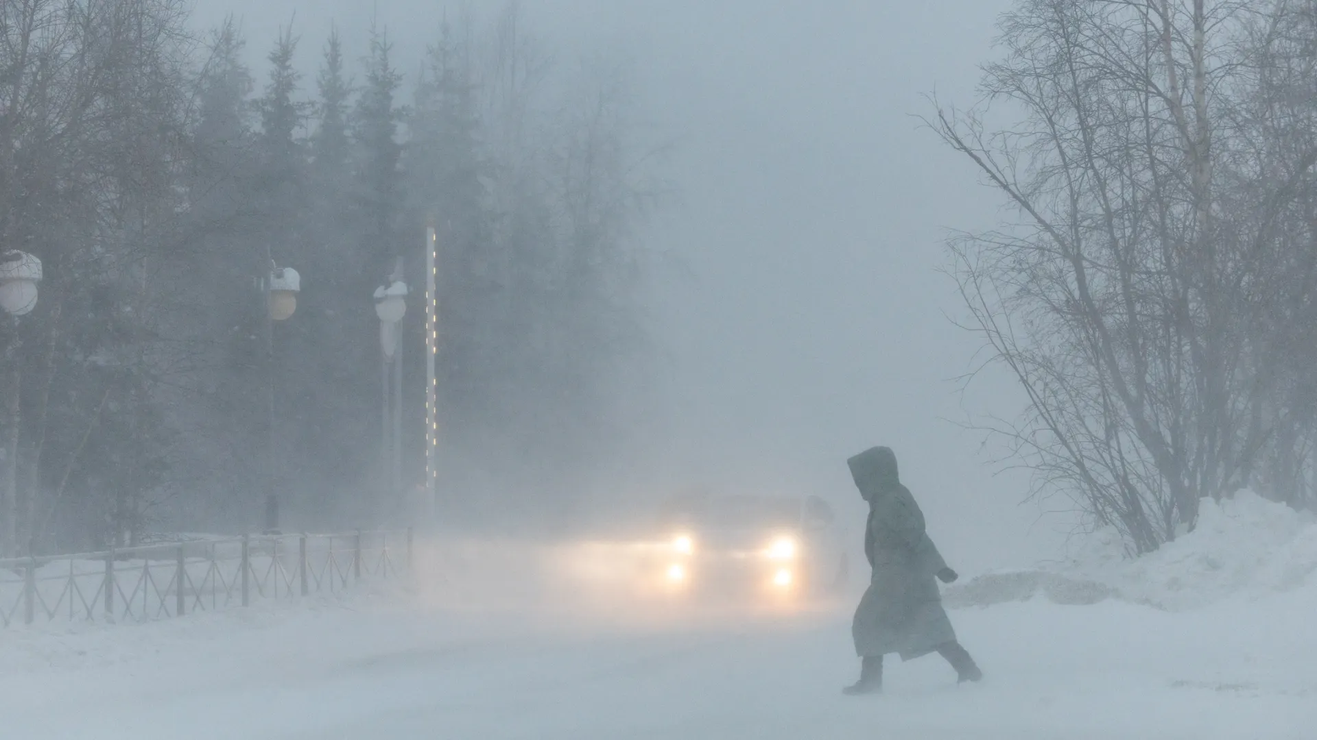 Фото: Андрей Ткачев / «Ямал-Медиа»