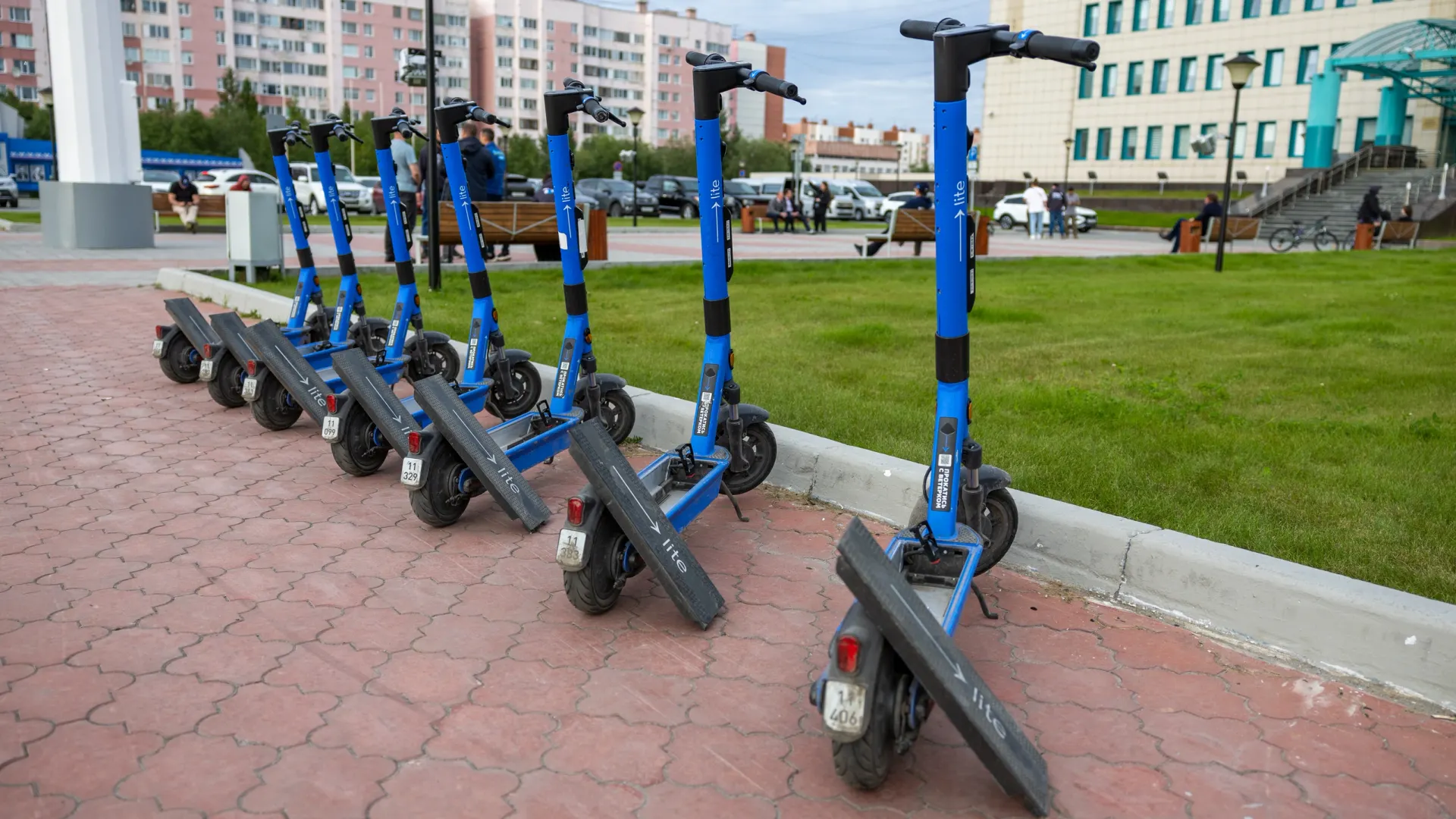 Фото: Федор Воронов/«Ямал-Медиа»