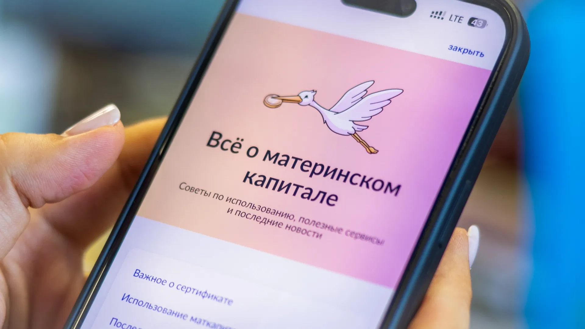 Фото: Федор Воронов / «Ямал-Медиа»