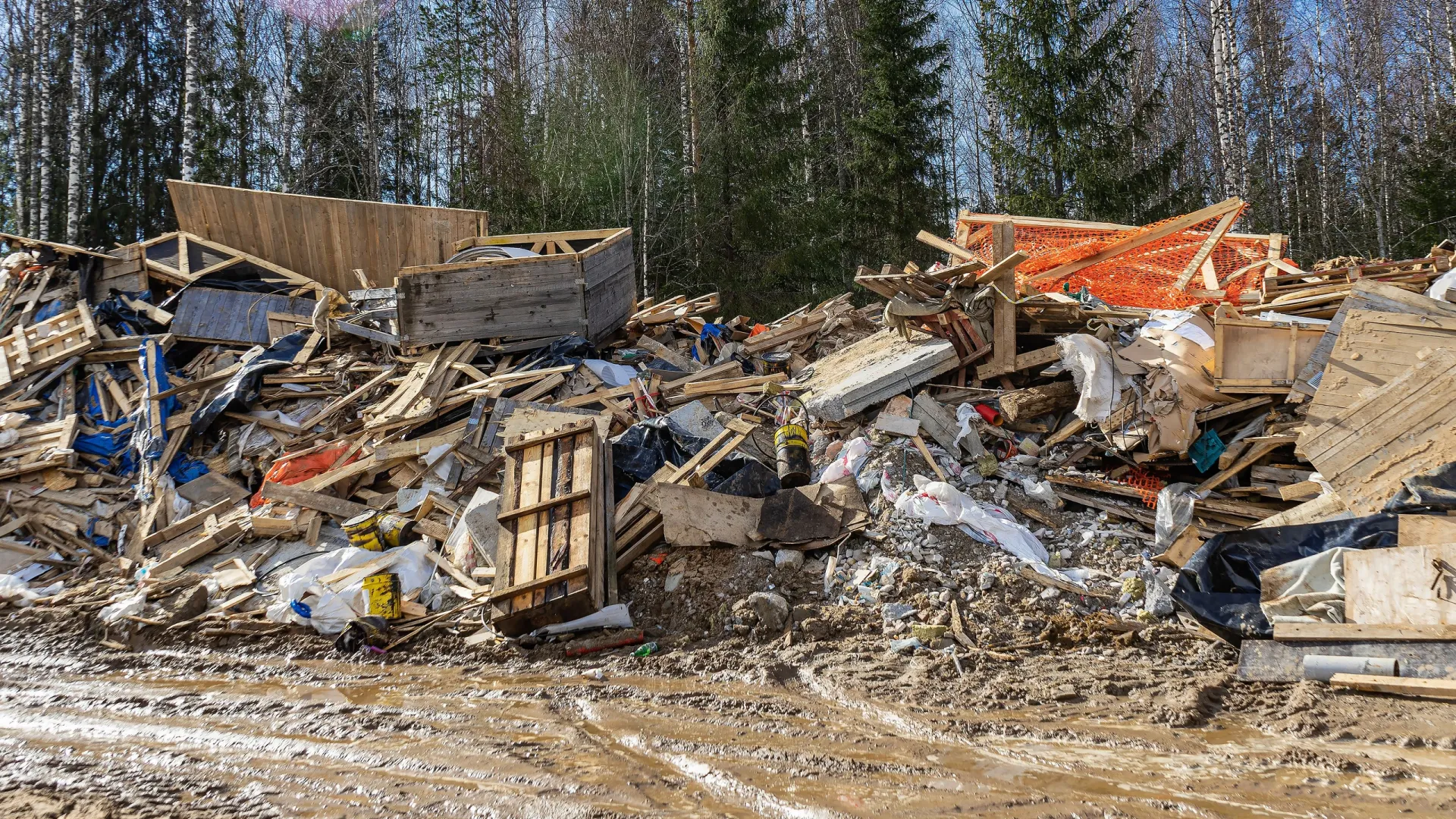 В прошлом году регоператор выявил 31 несанкционированную свалку. Фото: Pavel Vatsura / Shutterstock / Fotodom