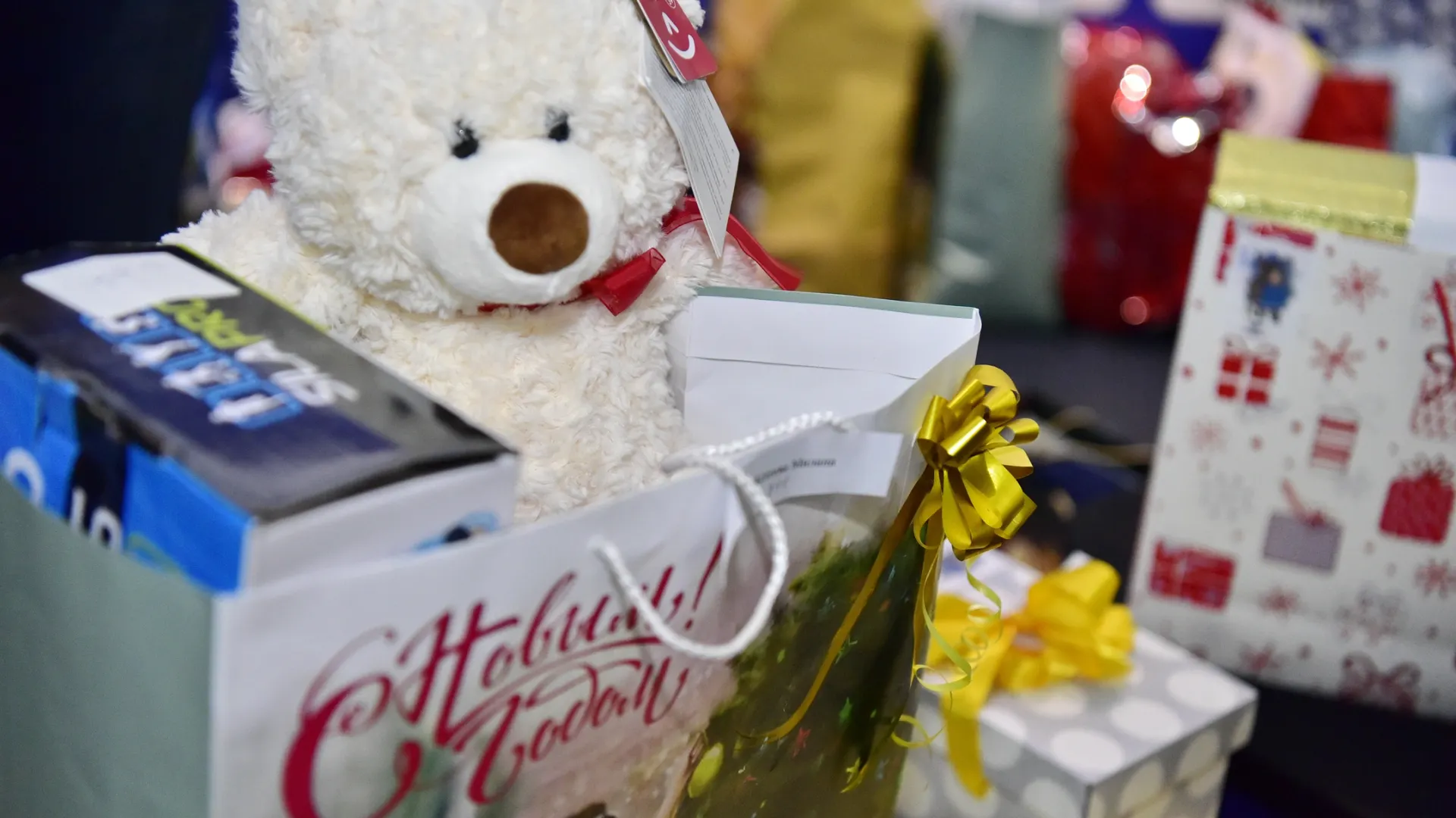 Фото: Андрей Ткачев / «Ямал-Медиа»