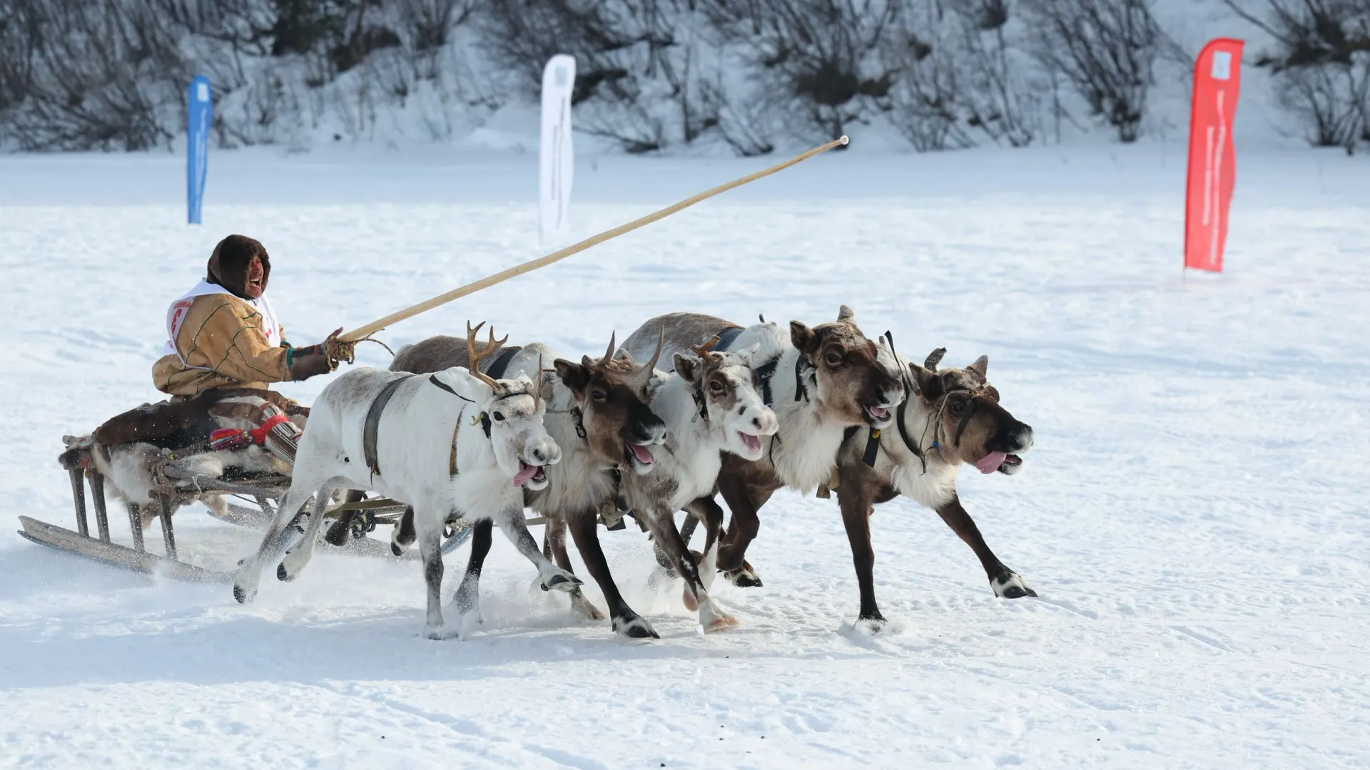 Фото: Андрей Ткачев / «Ямал-Медиа»
