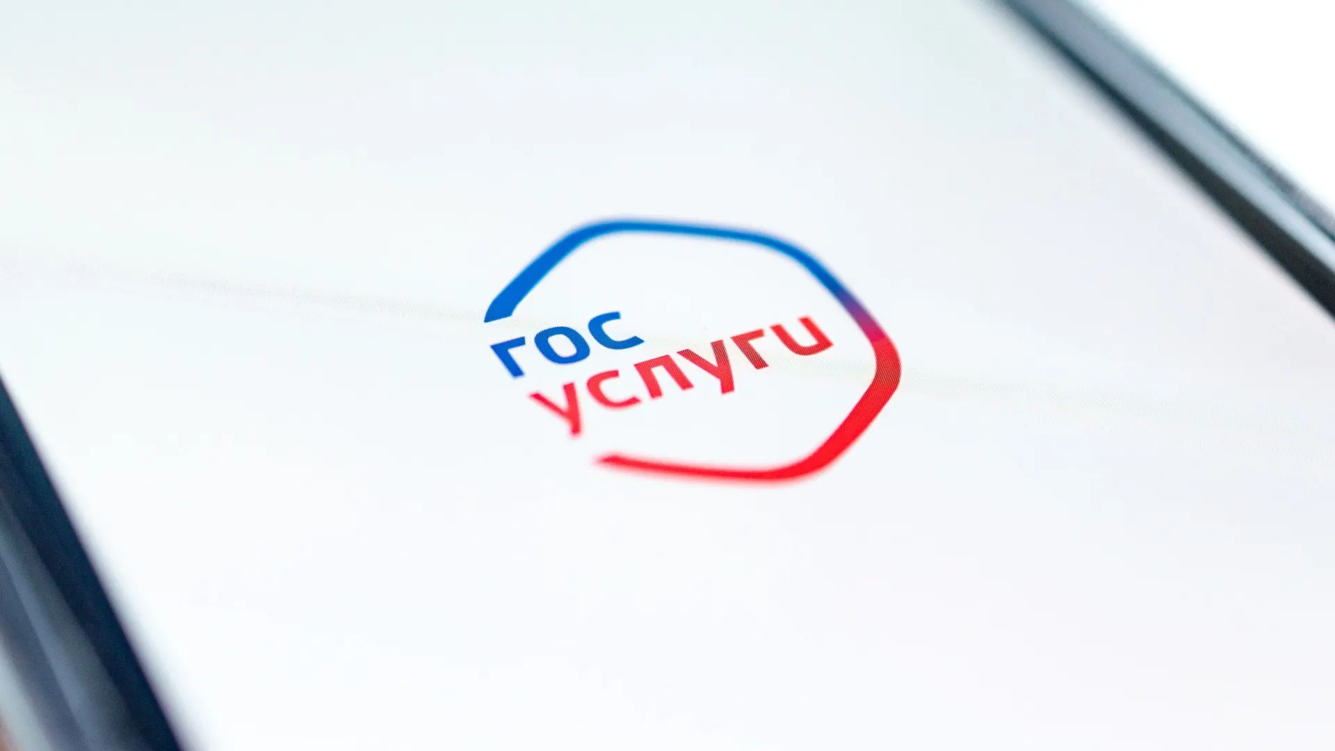 Фото: Сергей Зубков / «Ямал-Медиа»