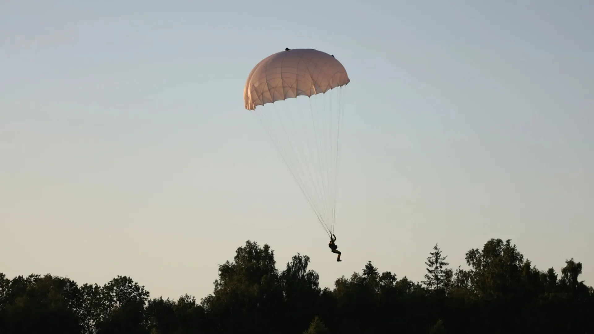 Фото: Sky Antonio / Shutterstock / Fotodom