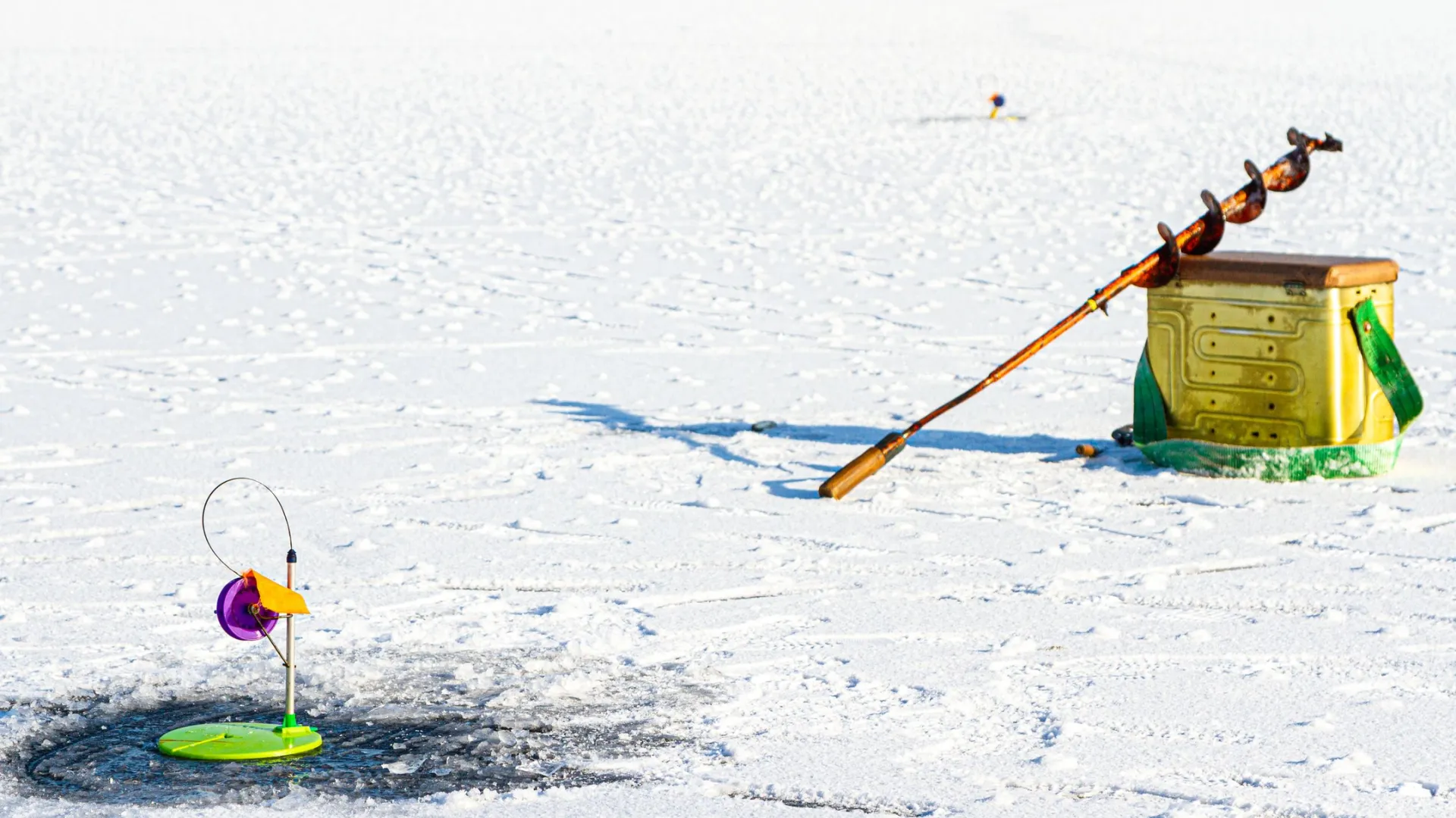 Фото: Alexandr Butylov / Shutterstock / Fotodom