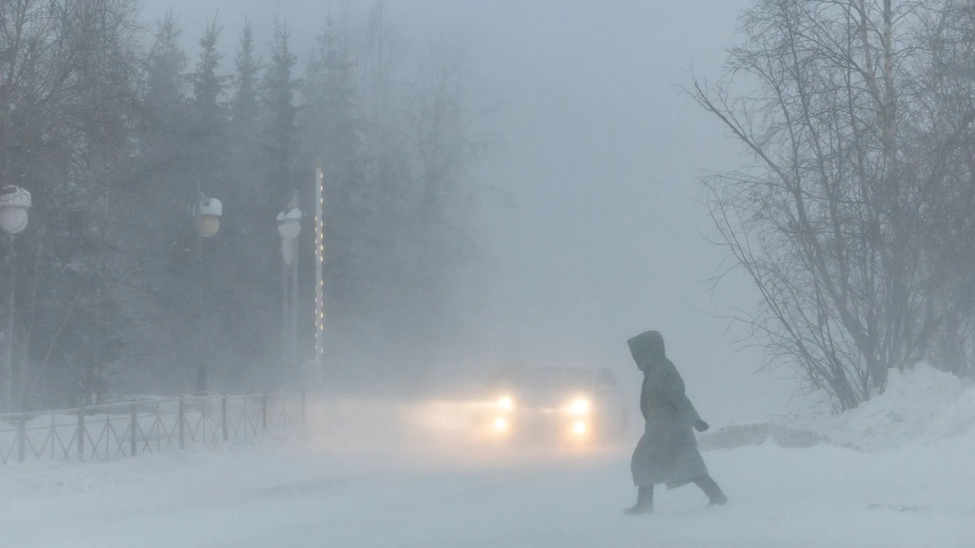 Фото: Андрей Ткачев / «Ямал-Медиа»