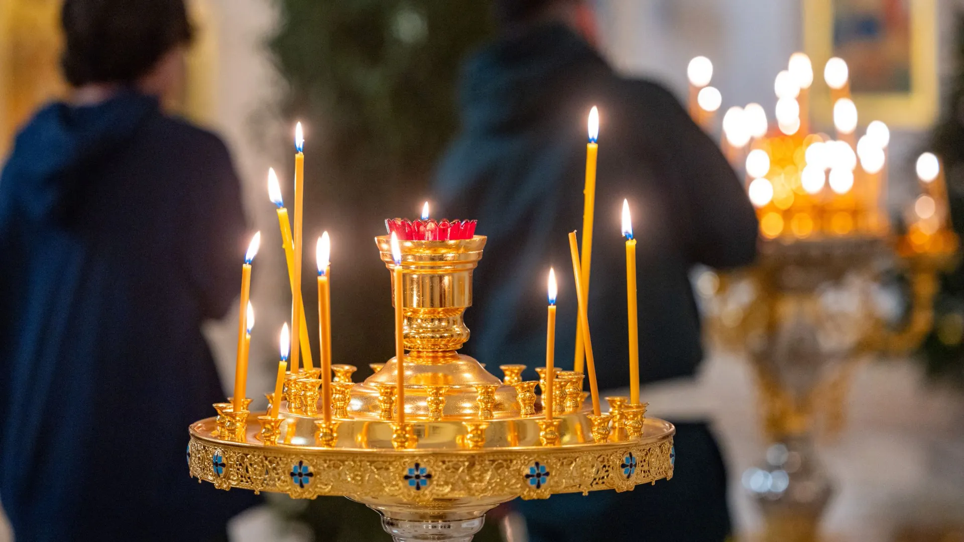 Фото: Сергей Зубков / «Ямал-Медиа»