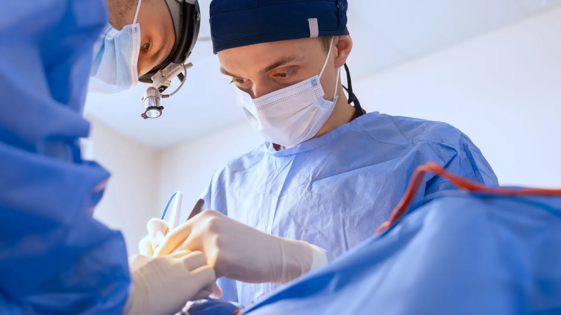 Фото: sergey kolesnikov / Shutterstock / Fotodom