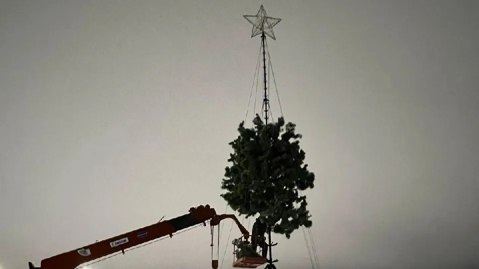 У таркосалинцев будет сразу три новогодних ели. Фото: t.me/deptsg