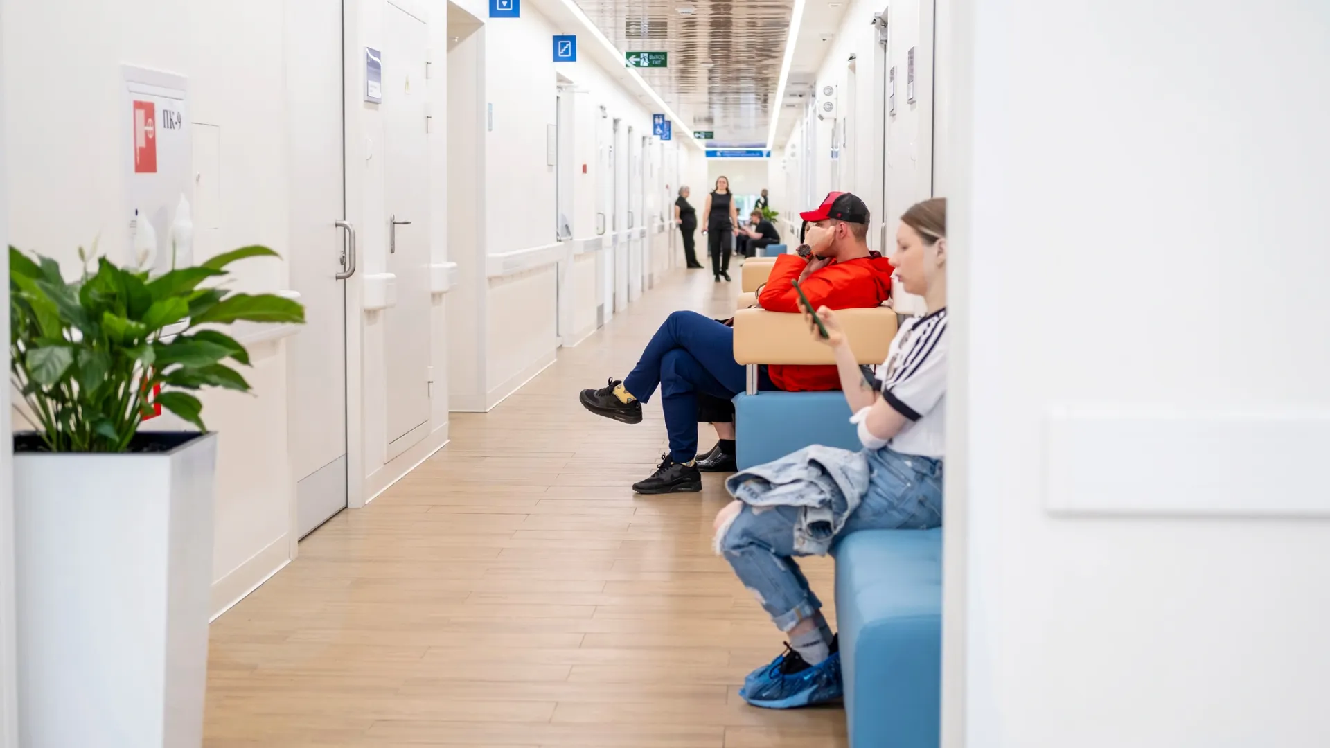 Фото: Natalya_Maisheva/Shutterstock/Fotodom