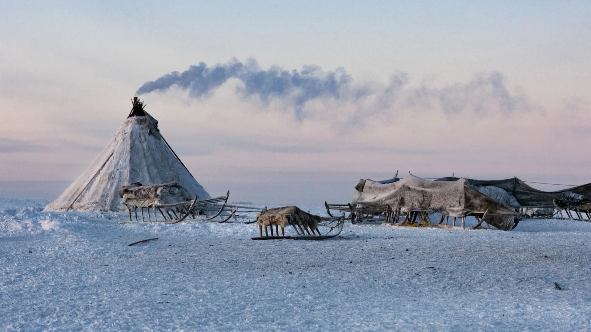 Фото: nenets/Shutterstock/Fotodom