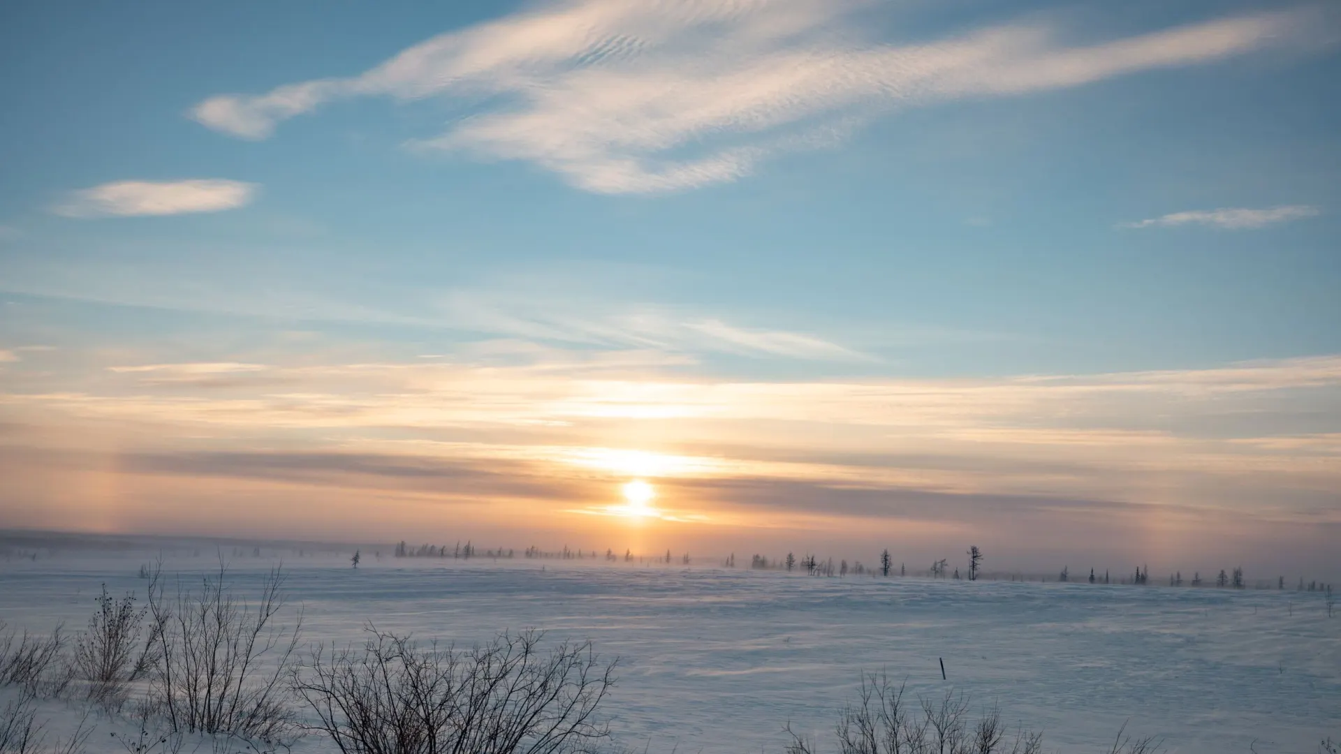 Фото: Сергей Зубков / «Ямал-Медиа»