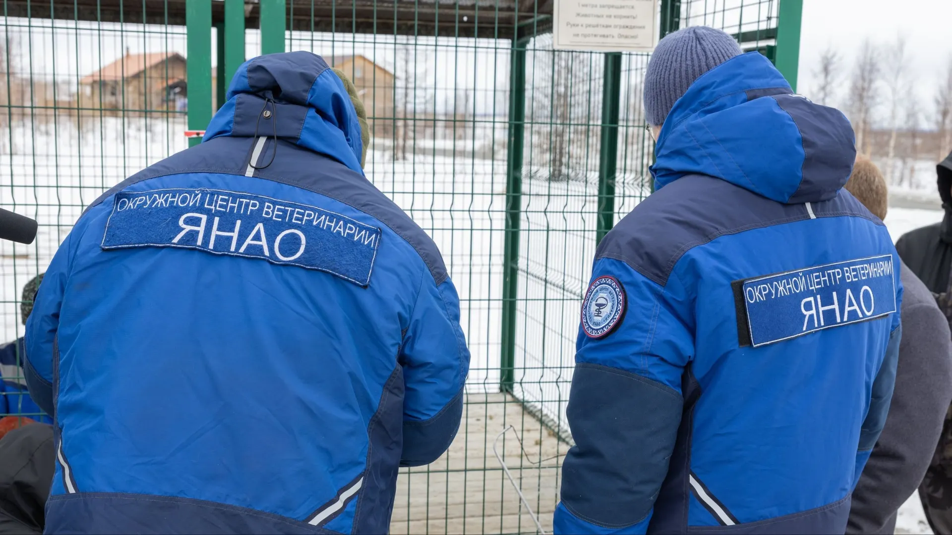 Специалисты постоянно повышают квалификацию. Фото: Александр Чирва / «Ямал-Медиа»