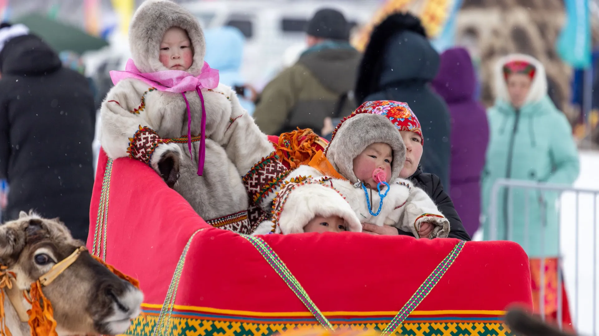 Фото: Федор Воронов / «Ямал-Медиа»