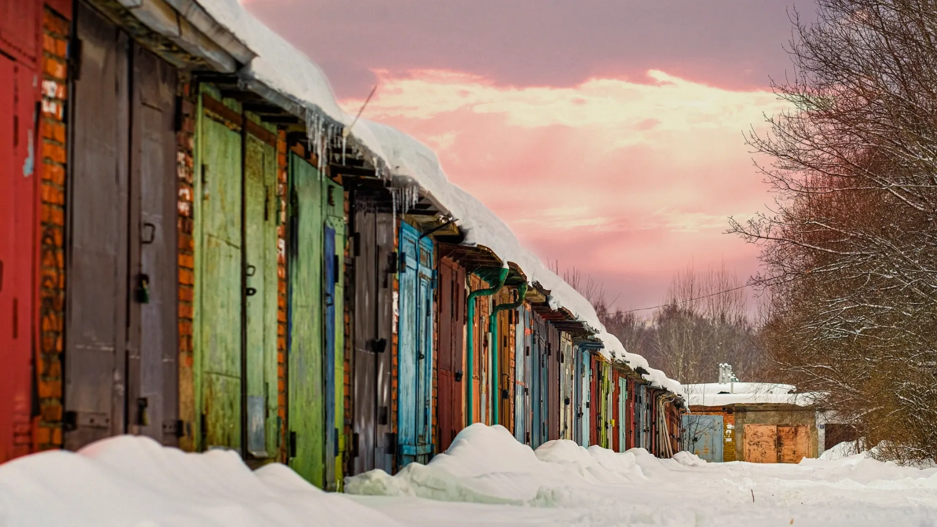 Фото: Vereshchagin Dmitry/Shutterstock/Fotodom