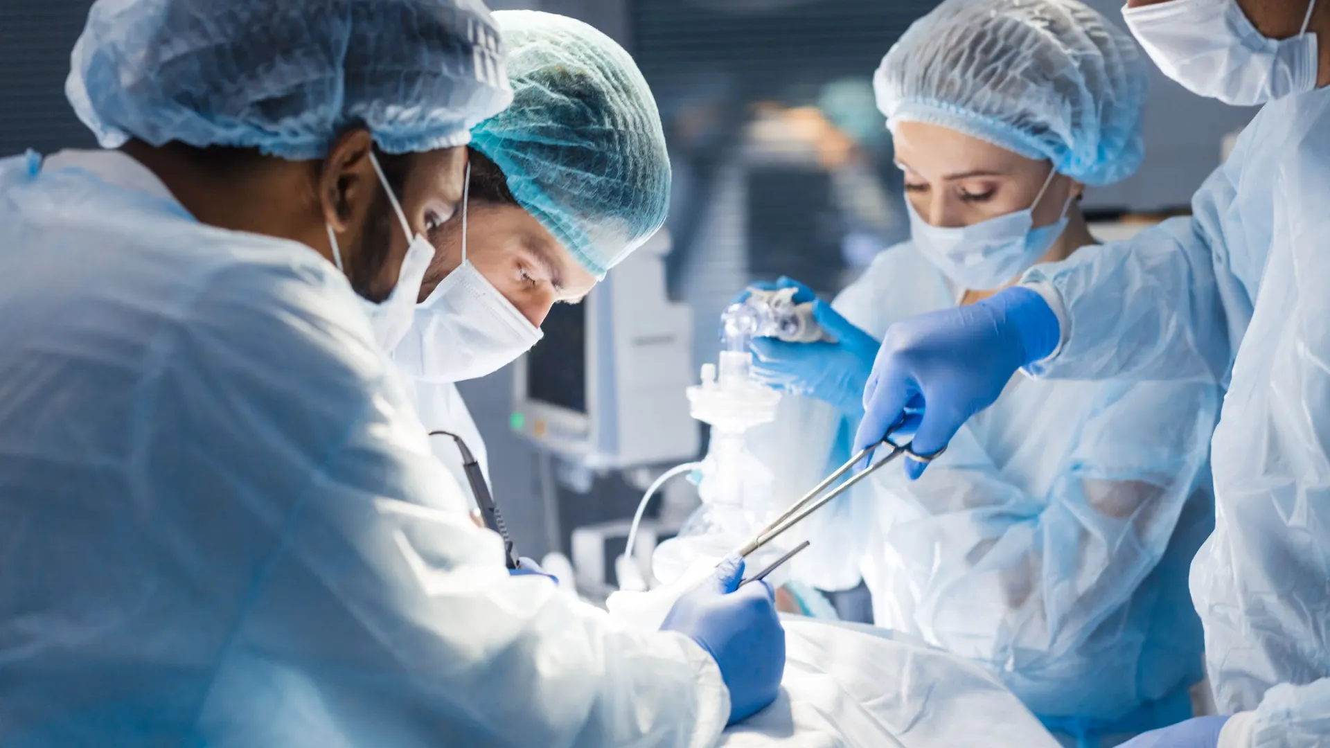 Фото: UfaBizPhoto/Shutterstock/Fotodom