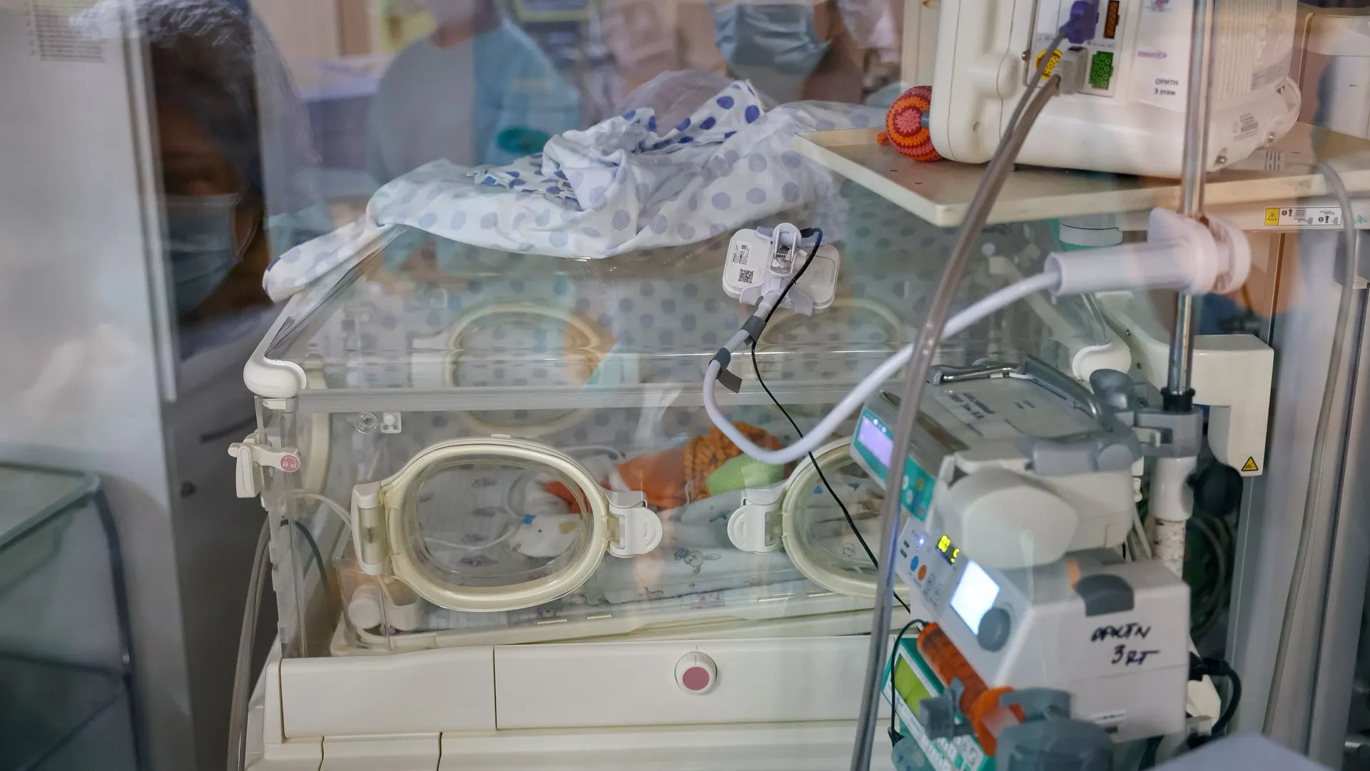 Фото: Андрей Ткачев / «Ямал-Медиа»