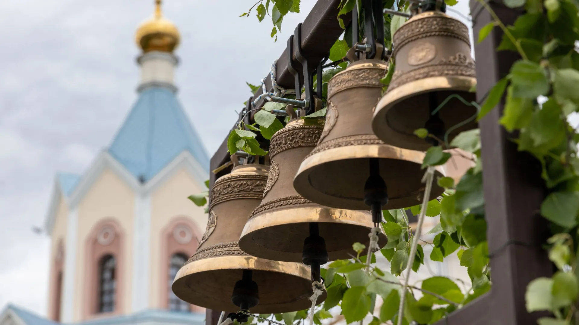 Фото: Федор Воронов / «Ямал-Медиа»