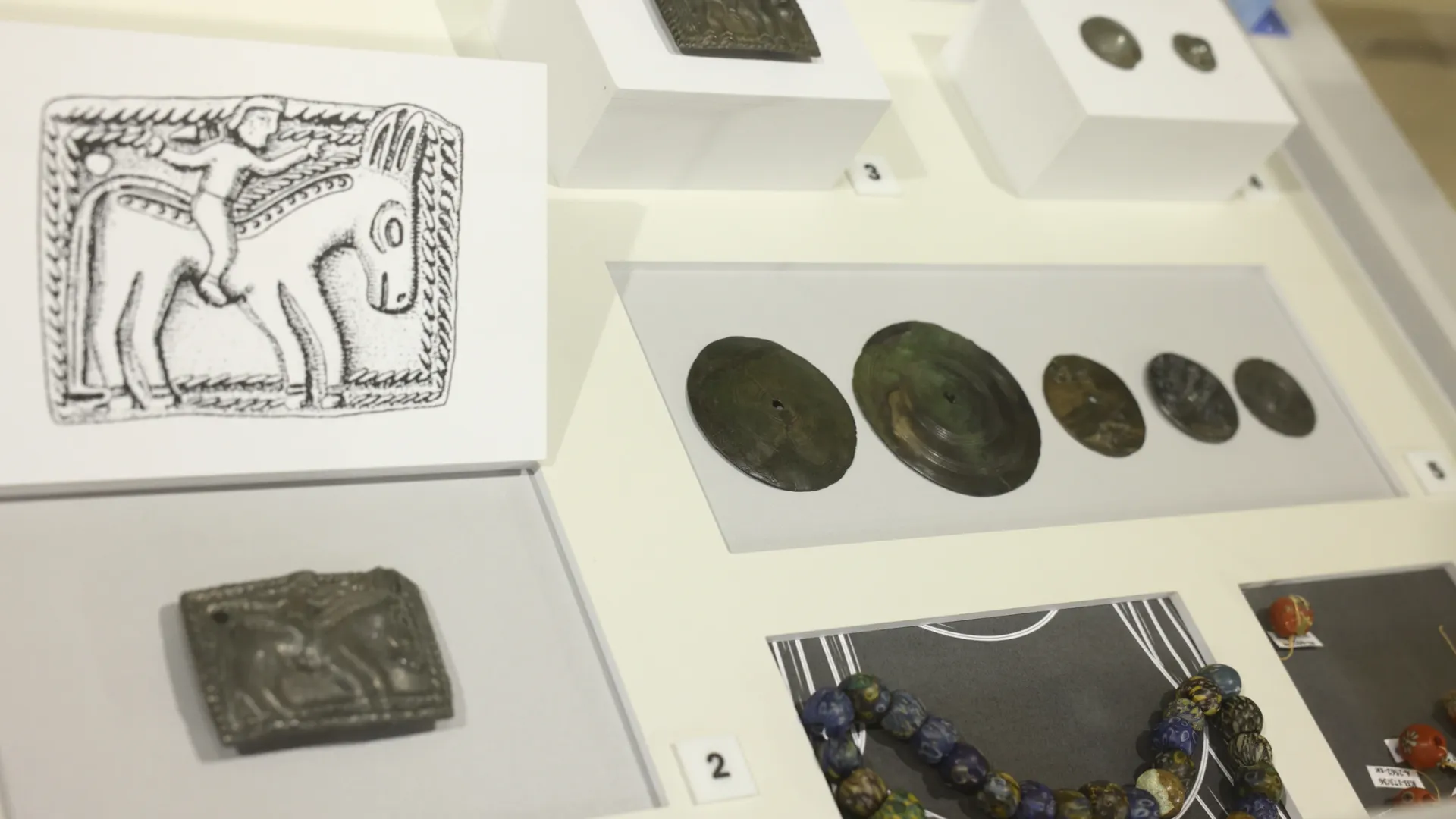 Фото: Виталий Харченко