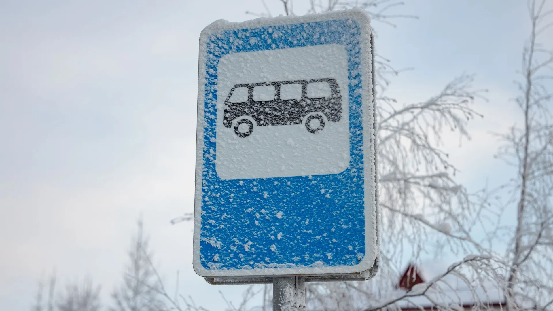 Фото: Сергей Зубков / «Ямал-Медиа»