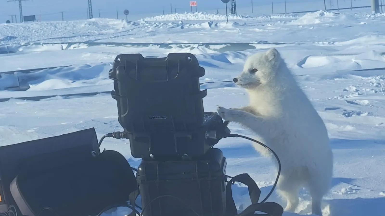 Фото: Артем Вяткин