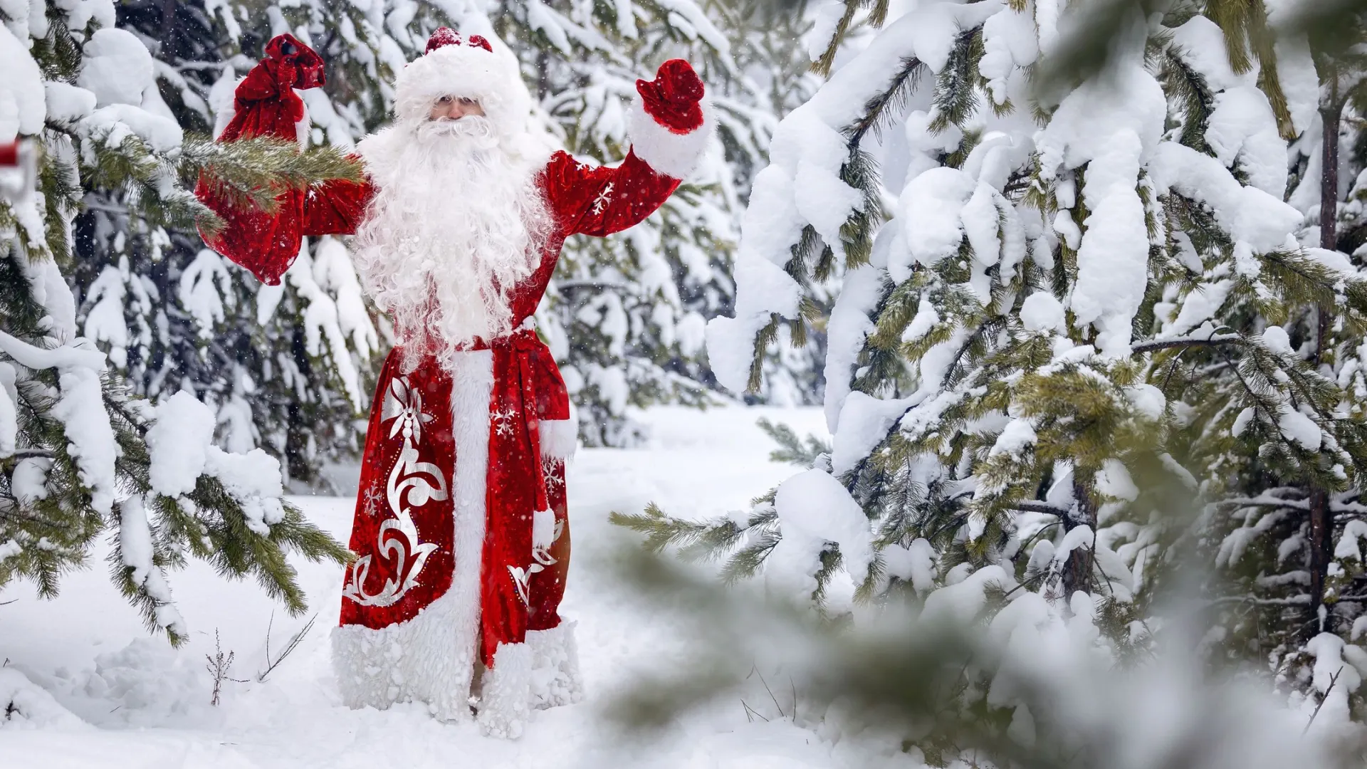 Фото: Parilov/Shutterstock/Fotodom