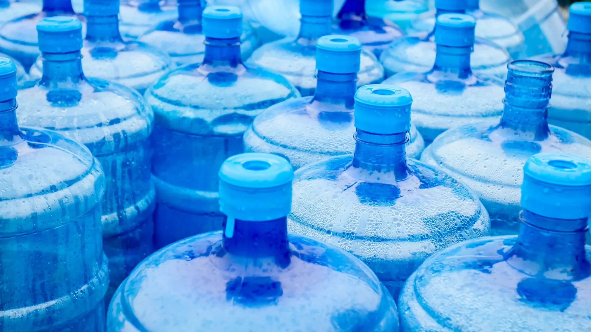 Фото: Roman023_photography/Shutterstock/Fotodom