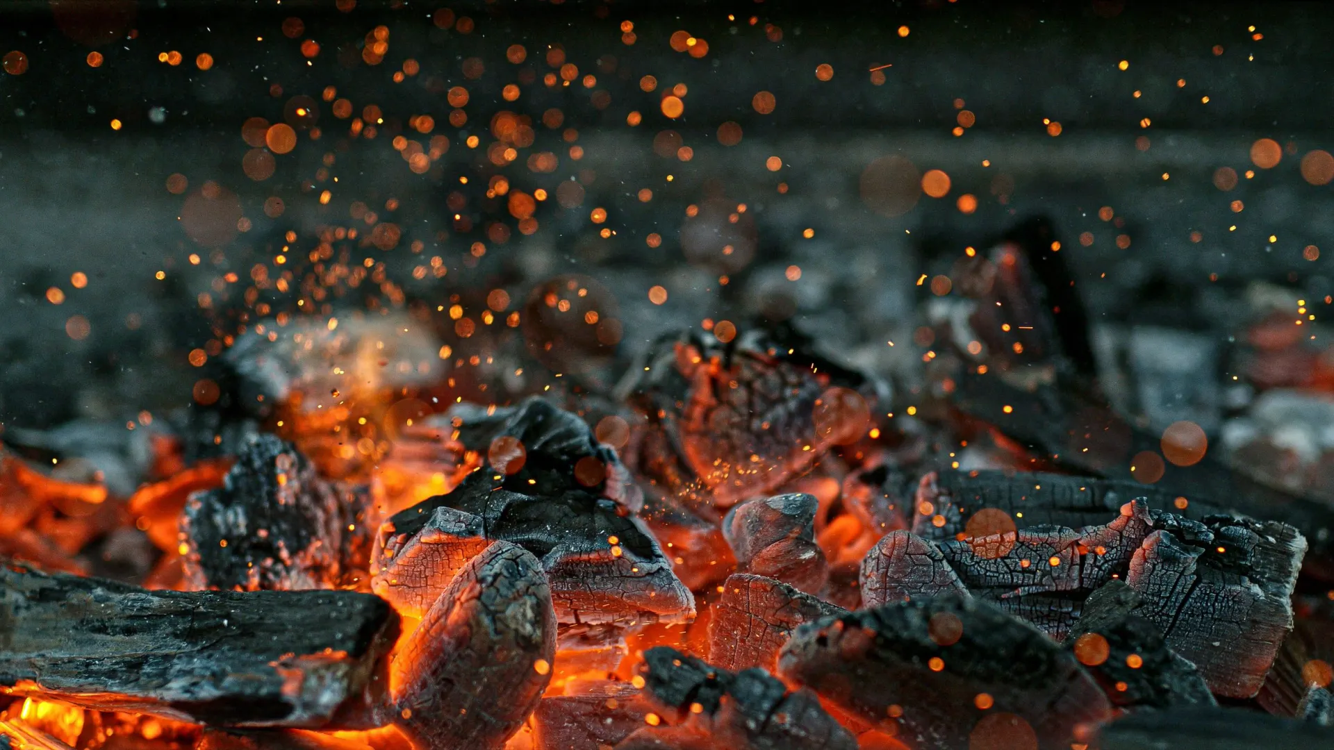 Фото: Lukas Gojda / Shutterstock / Fotodom