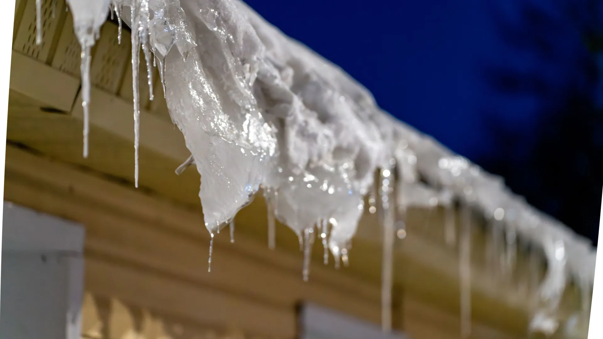 Фото: Сергей Зубков / «Ямал-Медиа»