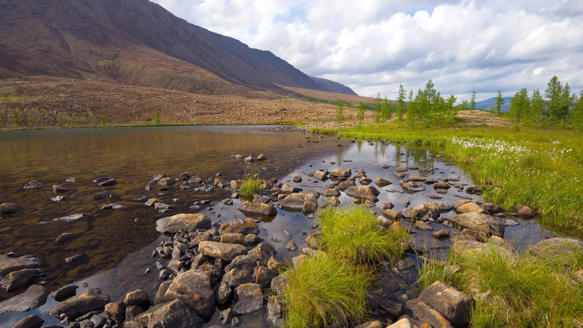 Фото: Karasev Viktor / Shutterstock  /Fotodom