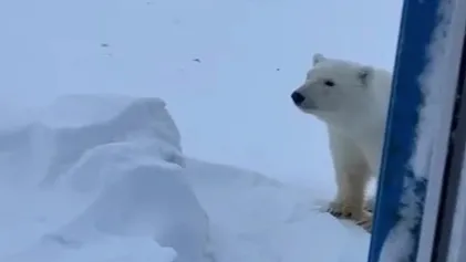 Фото: кадр из видео со страницы t.me/radionovasg