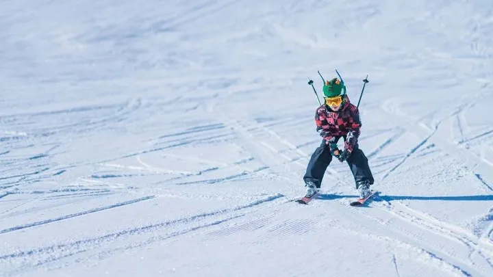 Фото: Microgen/Shutterstock/Fotodom