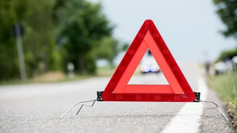 Фото: mhp/Shutterstock/Fotodom