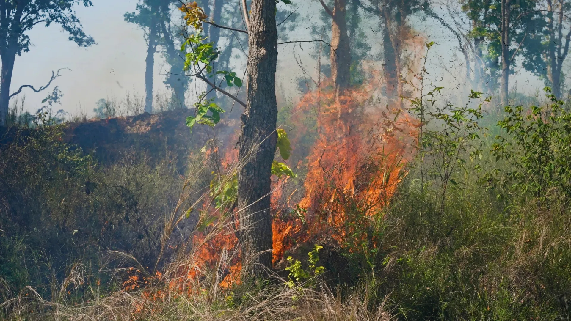 Фото: Sanit Fuangnakhon / Shutterstock / Fotodom
