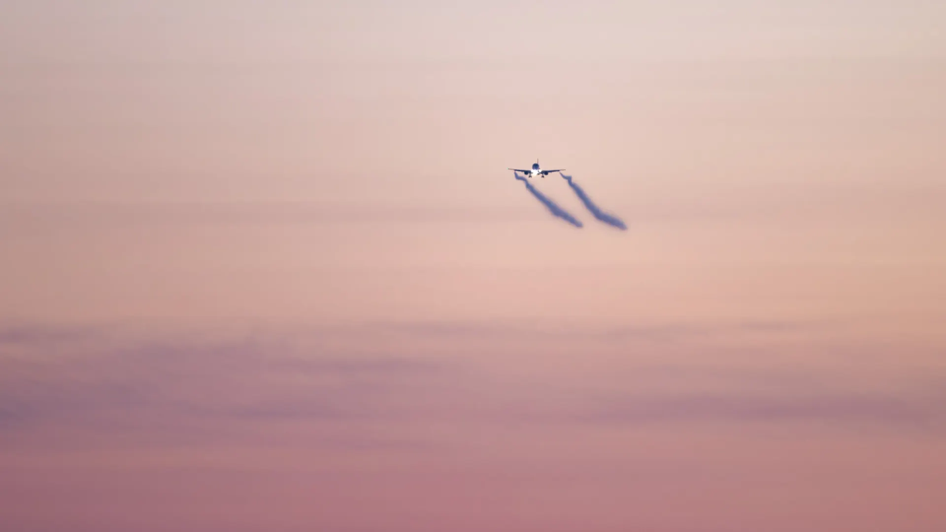 Фото: Федор Воронов / «Ямал-Медиа»