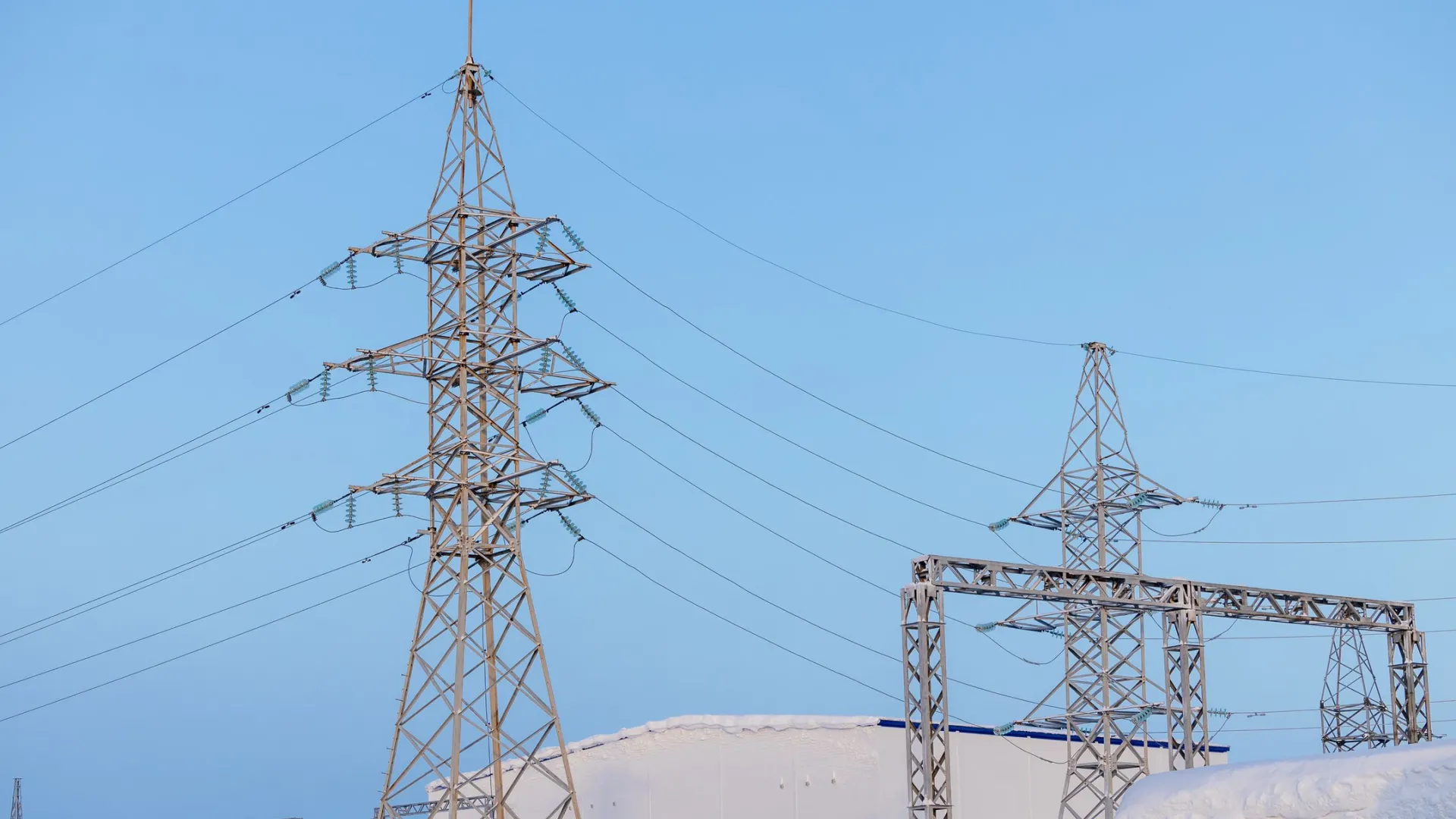 Фото: Федор Воронов / «Ямал-Медиа»