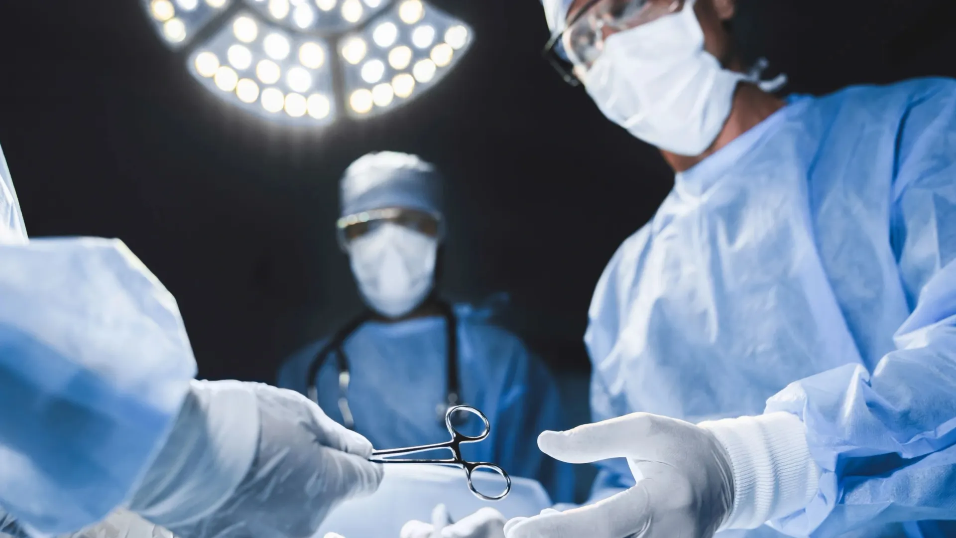 Фото: Inside Creative House / Shutterstock / Fotodom