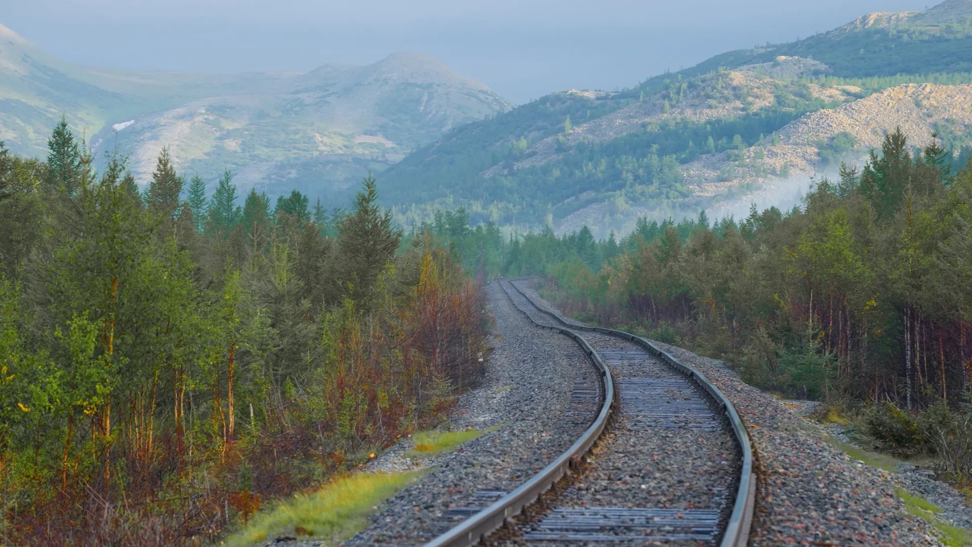 Фото: Karasev Viktor / Shutterstock / Fotodom