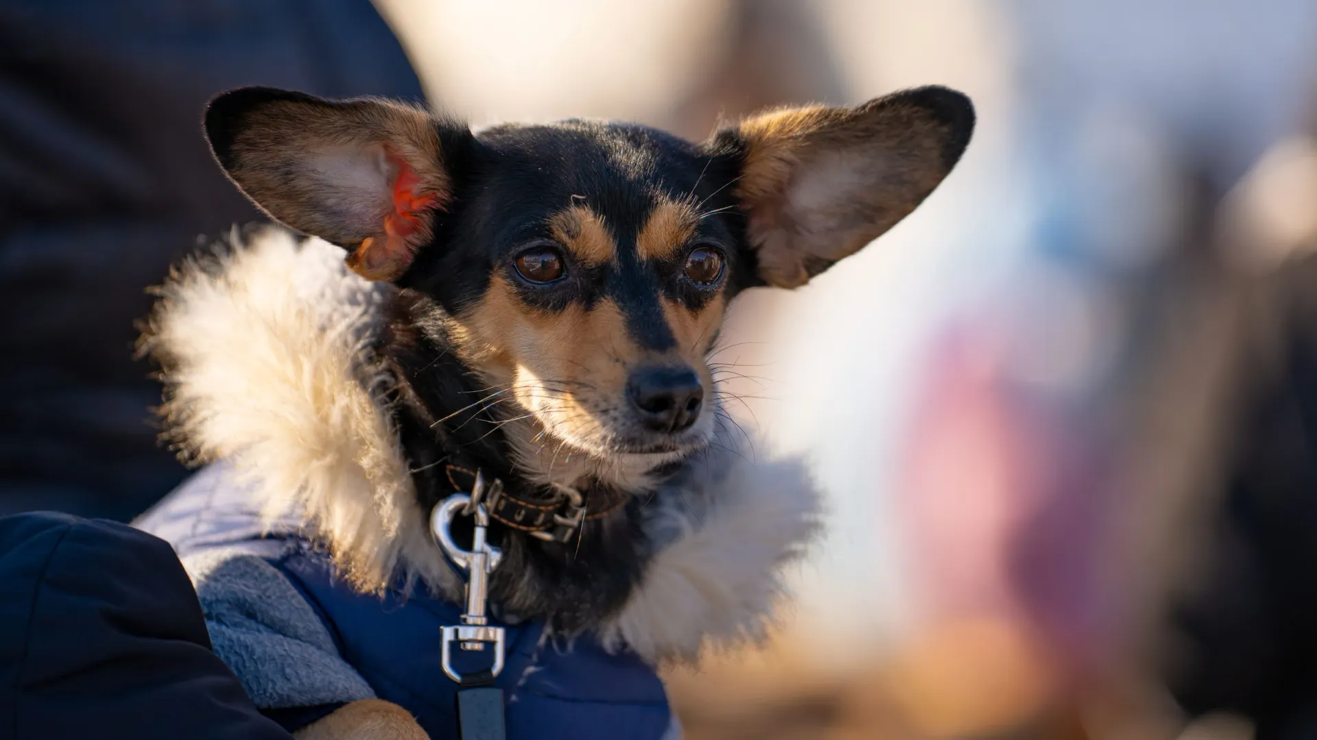 Фото: Сергей Зубков / «Ямал-Медиа»