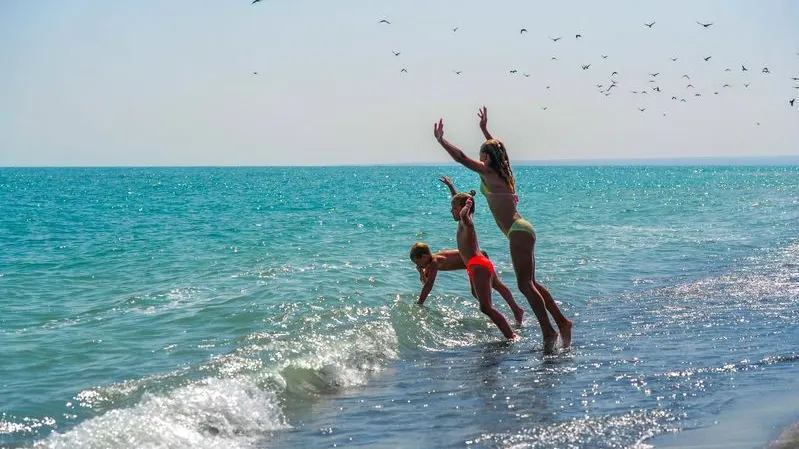 Фото: Alex prokopenko / Shutterstock / Fotodom