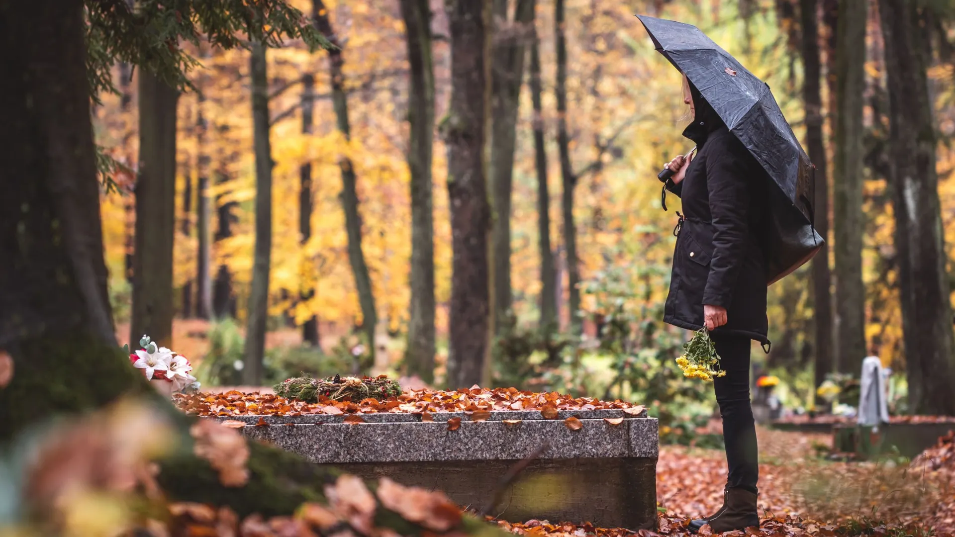 Фото: encierro / Shutterstock / Fotodom